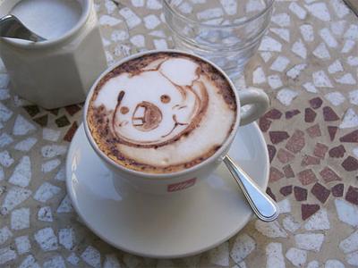 Koala in cappuccino