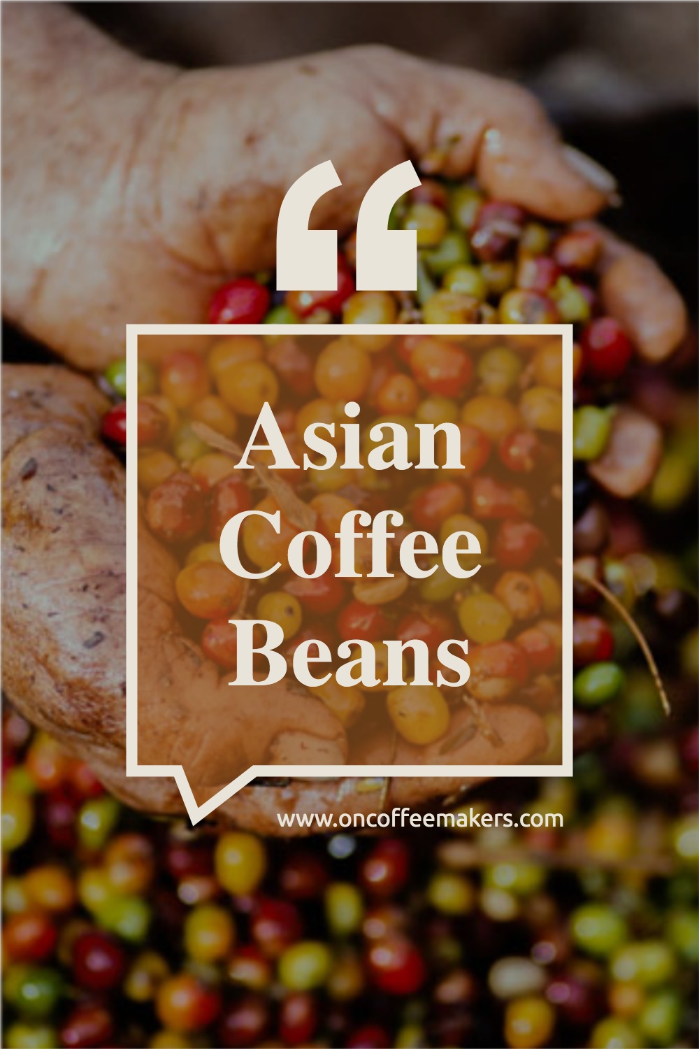 Asian-Coffee-Beans.jpg