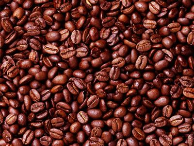 Wholesale Coffee