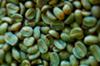 Green coffee beans can help you lose weight