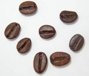 best-coffee-beans