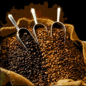 coffee beans