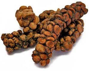 kopi luwak raw form