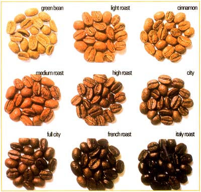 roasted-coffee-bean